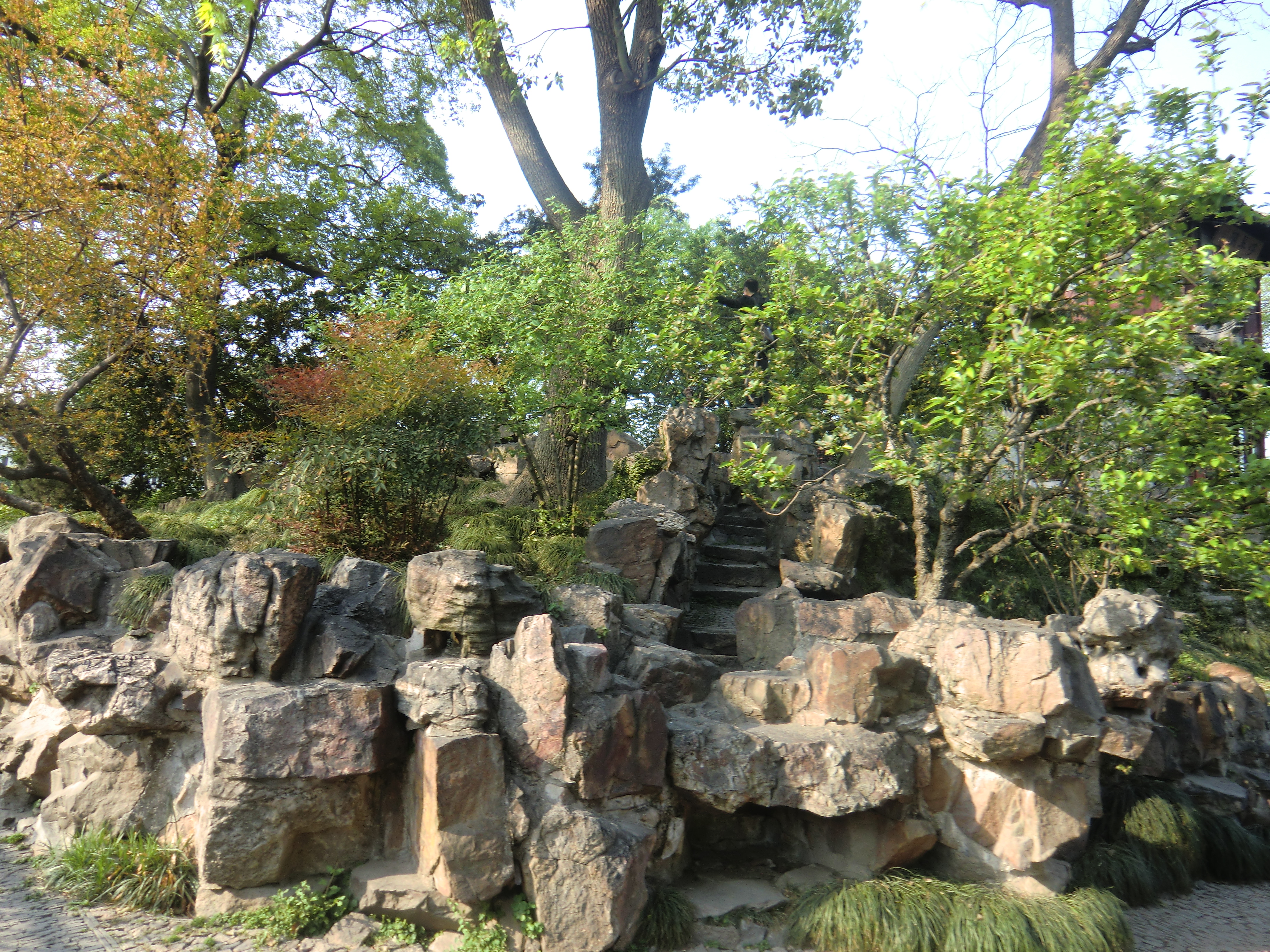 Rockery steps winding between stones and leafy trees at the Humble Administrator’s Garden